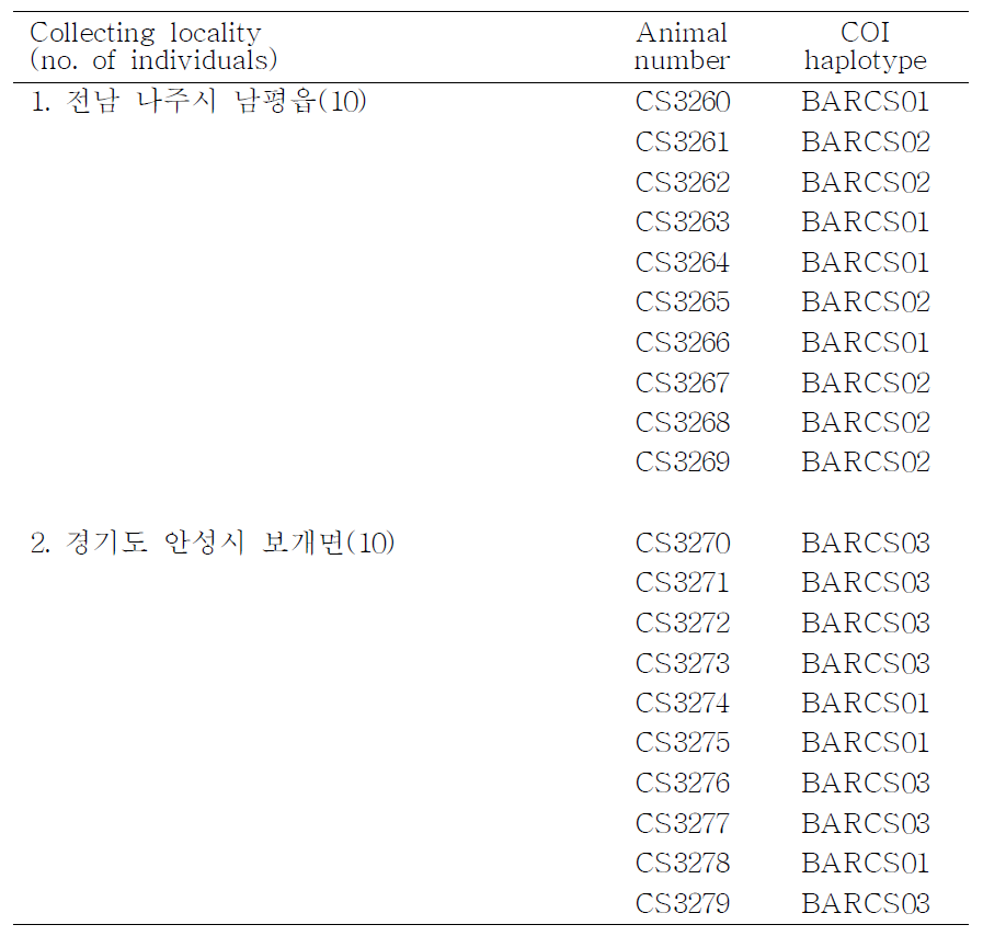 복숭아심식나방(Carposina sasakii)의 채집지역, 개체 번호, COI haplotype 목록