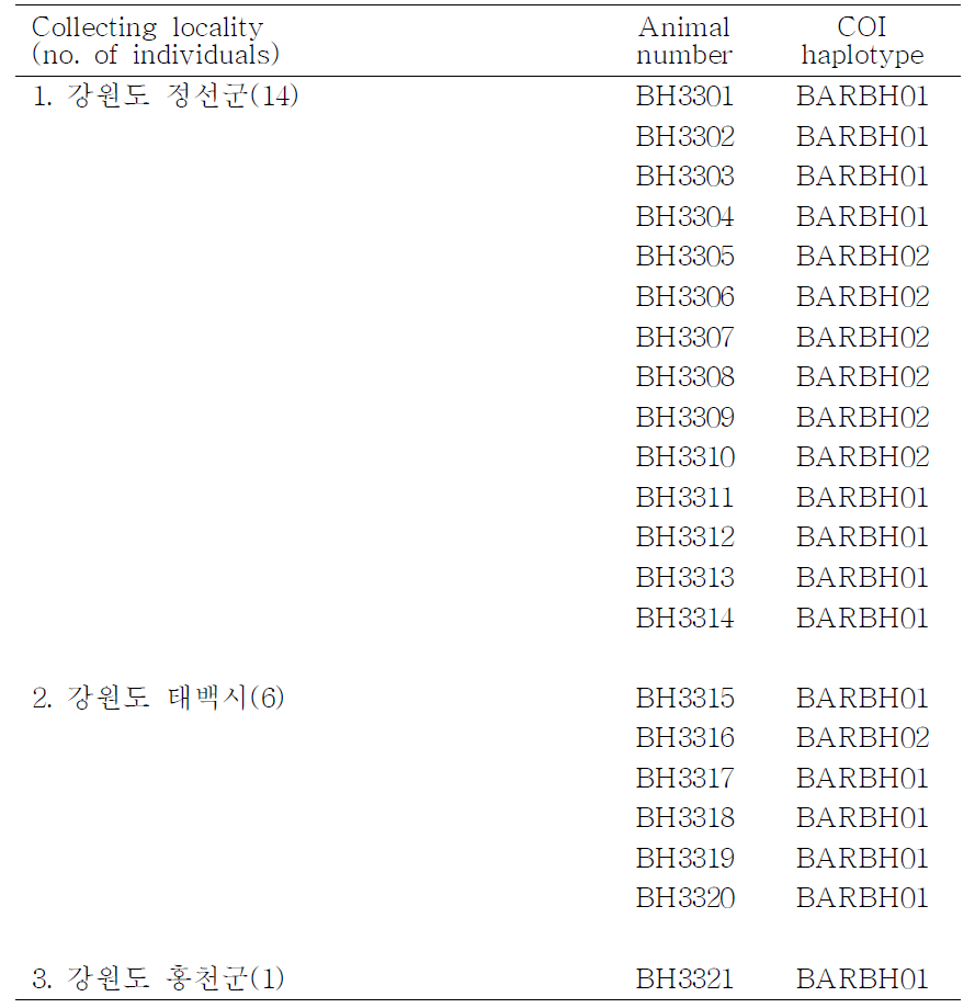 삿포로뒤영벌(Bombus hypocrita의 채집지역, 개체 번호, COI haplotype 목록