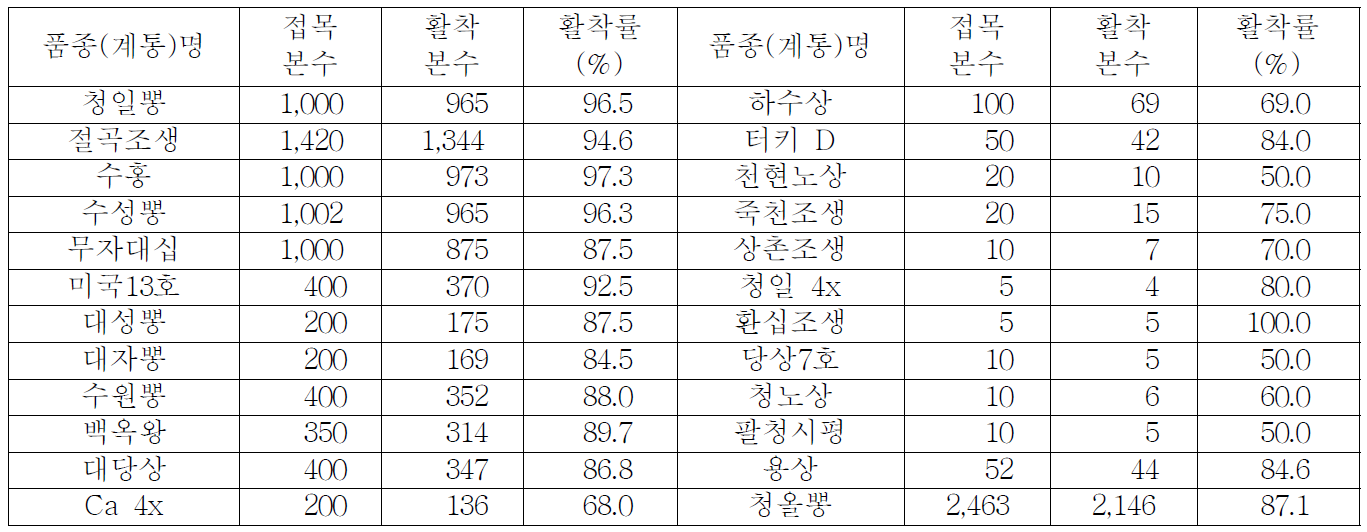 오디 우수계통 증식 : 접목(10,327본) 및 활착비율 조사(청올뽕 등 24계통)