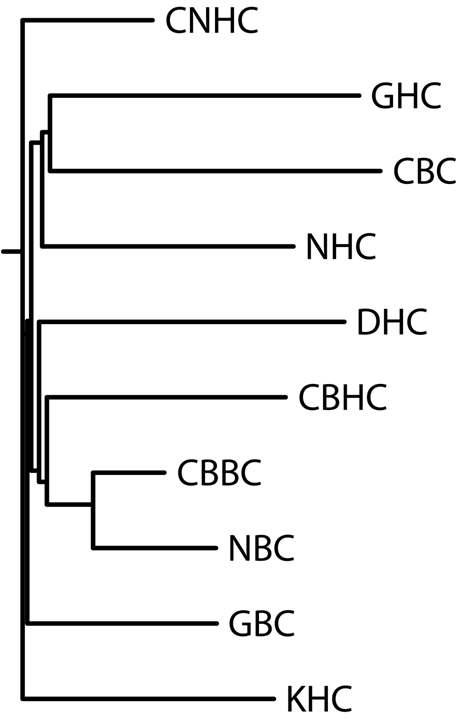 mtDNA D-loop 영역 분석을 통한 집단간, haplotyep간 유전적 유연관계