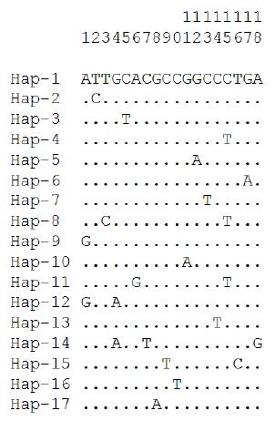 mtDNA Cyt-B 영역에 기초한 haplotype별 연기변이