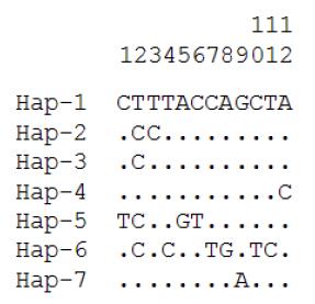 염소 mtDNA D-loopB 영역에 기초한 haplotype별 연기변이
