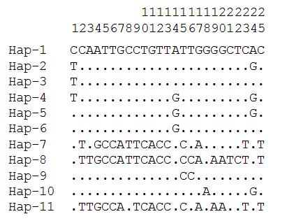 재래돼지 mtDNA D-loop 영역에 기초한 haplotype별 염기변이