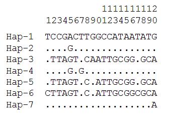 재래돼지 mtDNA D-loop 영역에 기초한 haplotype별 염기변이