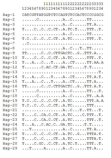 재래돼지 mtDNA D-loop 영역에 기초한 haplotype별 염기변이