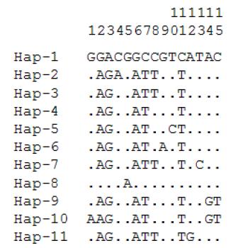 재래닭 mtDNA Cytochrome B 영역에 기초한 haplotype별 염기변이
