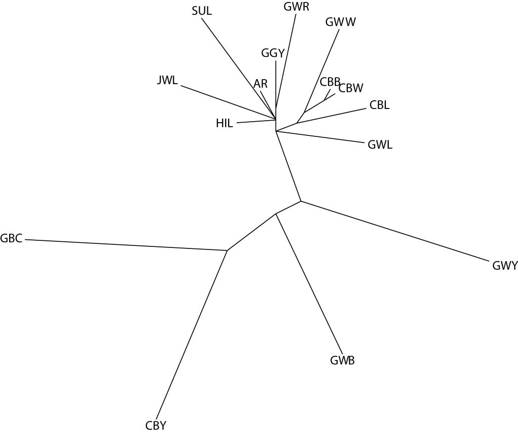 재래닭 mtDNA Cytochrome B 영역에 기초한 집단별 계통도