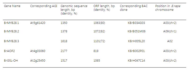 배추 글루코시놀레이트 생합성 관련 유전자의 염기서열 분석