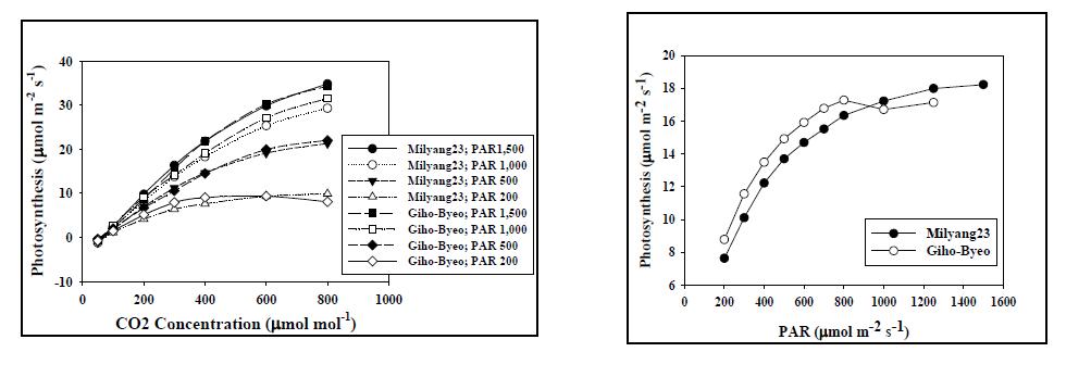 Changes of photosythetic carbon assimilation rate of Milyang23 and Gi-hobyeo with changes of CO2 and light intensity.