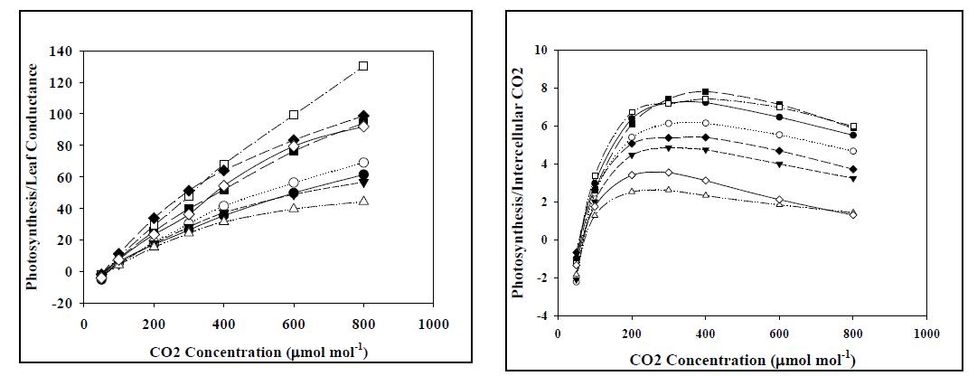 Changes of photosynthesis rate/leaf conductance (left) and photsynthesis rate/intercellular CO2 with increase of external CO2 concentration