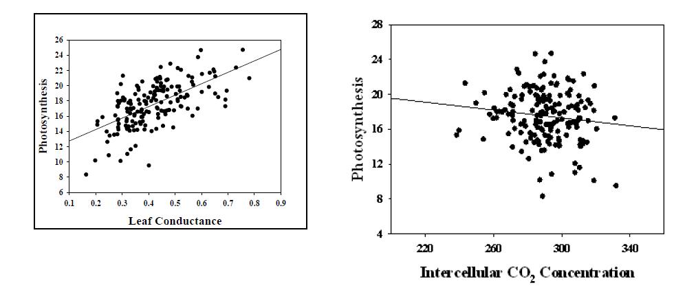 Distribution of photosythetic carbon assimilation rate over leaf conductance (left) and intercellular CO2 concentration (right) in MG RIL population.