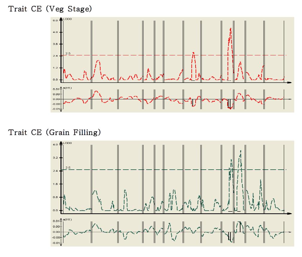 QTL locus related to carboxylation efficiency for photosynthetic carbon assimilation of MG RILs. Upper figure : leaves next to the top, Lower figure : flag leaves two weeks after flowering.