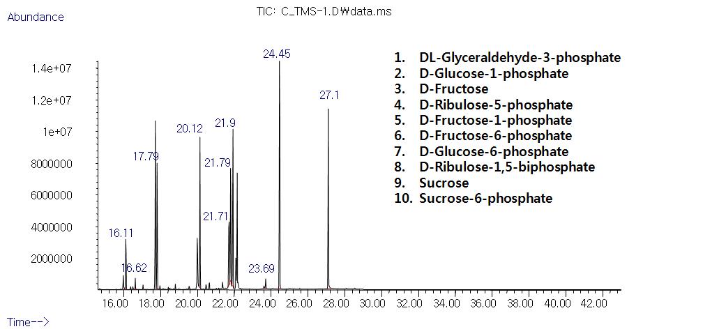 SIM chromatogram of sugar and sugar phosphate-TMS derivatives.