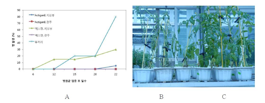 Acibenzolar S methyl의 풋마름병 방제 효과. A; 처리별 병 진전, B; 무처리+병원 세균, C; Actigard+병원세균