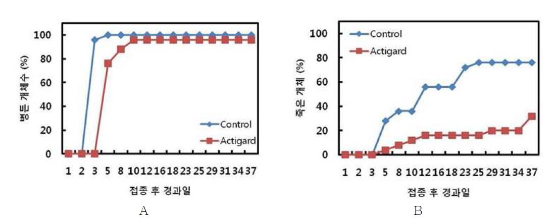 하절기 토마토 재배에서 Acibenzola S methyl 처리 효과. A; 병든개체, B; 죽은개체.