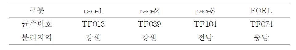 국내 분포 토마토 후사리움병 병원균의 표준균주