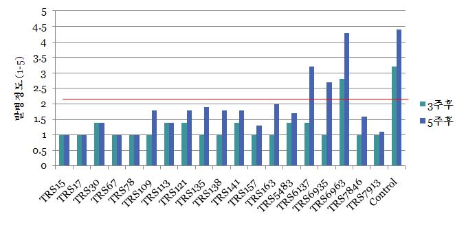 기내 선발미생물과 풋마름병균 관주처리시 경과일수별 발병정도(발병정도: 1, 발병안됨; 2, 하엽 1∼2매 시들음; 3, 1/2 이하의 잎이 시들음; 4, 1/2∼3/4 정도의 잎이 시들음; 5, 식물체 전체가 시들거나 고사).