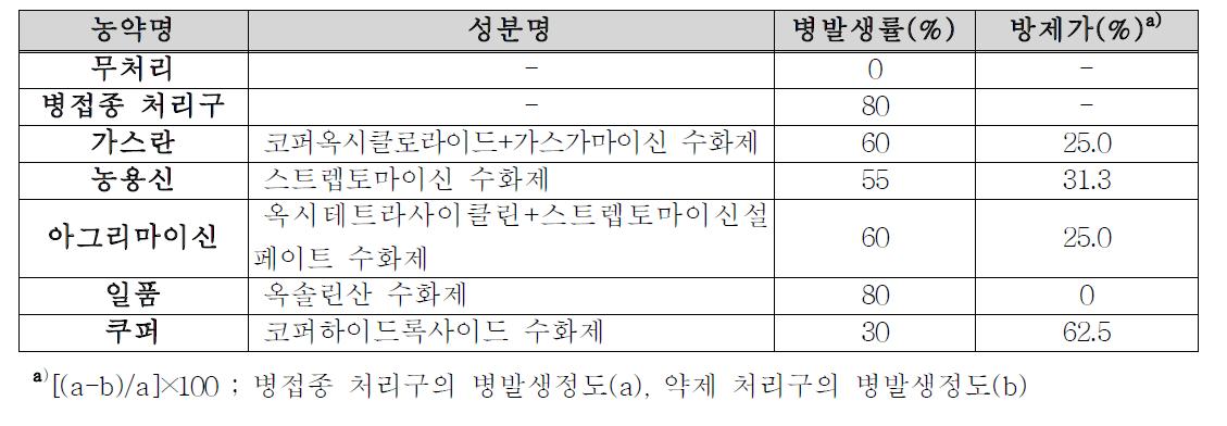 토마토 풋마름병에 대한 방제 효과