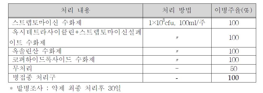 토마토 궤양병 방제 효과 시험