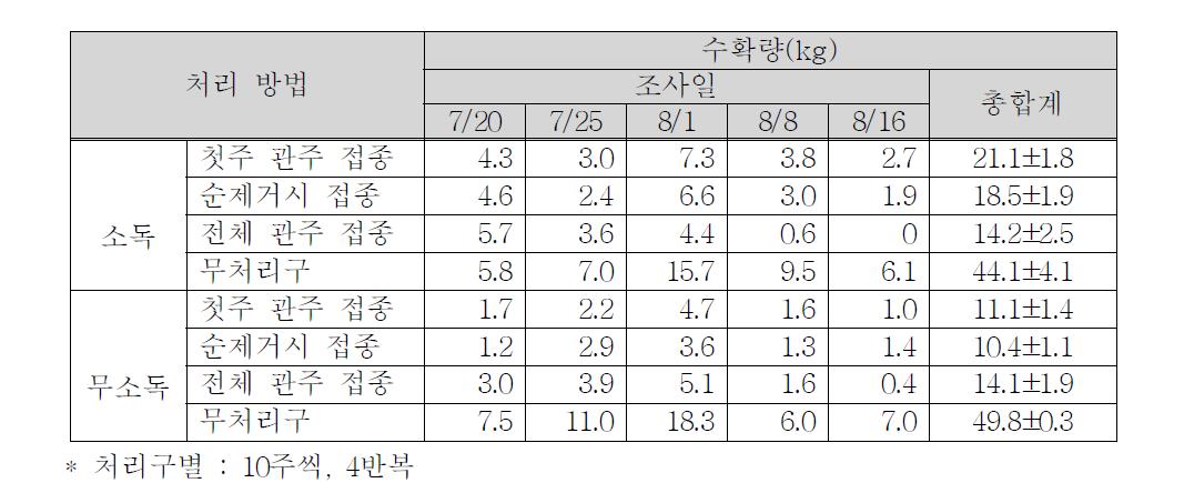 작업도구 소독처리의 유무에 따른 토마토 수확량