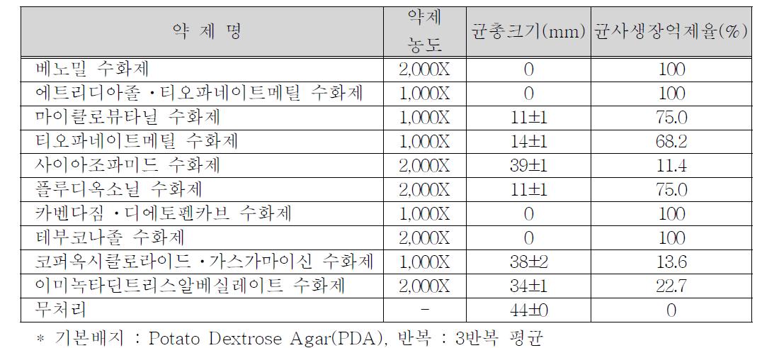 토마토 시들음병 생장억제 농약 선발