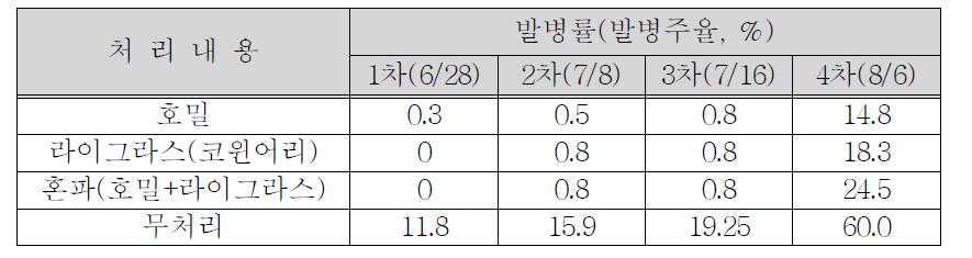 녹비작물에 의한 궤양병 방제효과(2010, 철원)