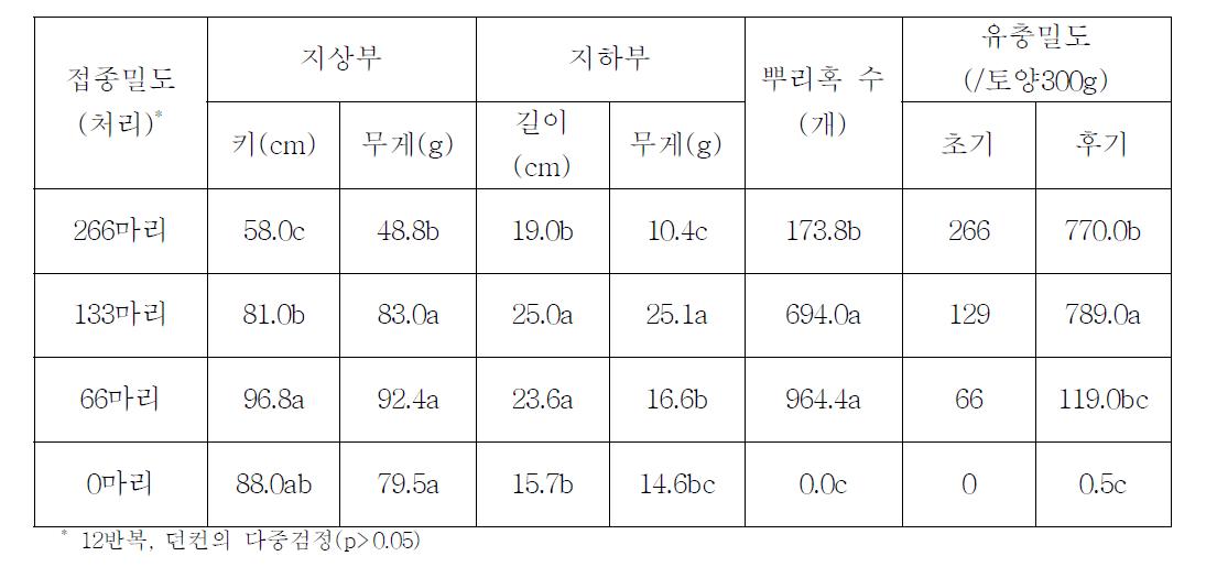 뿌리혹선충(M. incognita)에 의한 감수성 토마토품종(Rutgers)의 피해(2012)