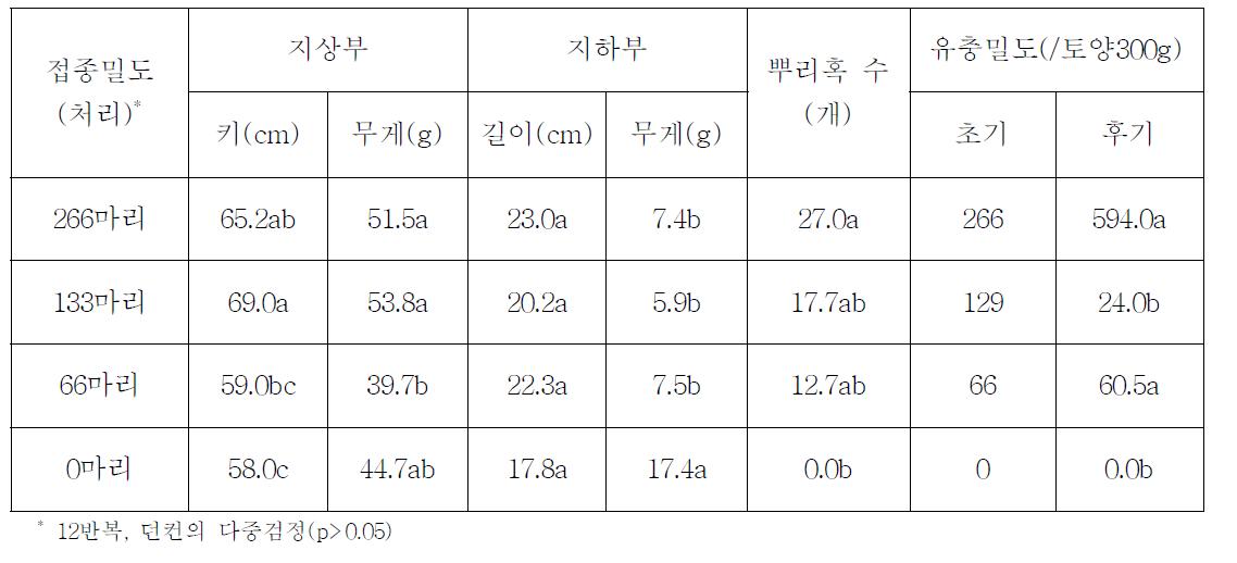 일반 토마토품종(Tiyo)에 대한 뿌리혹선충의 피해(2012)