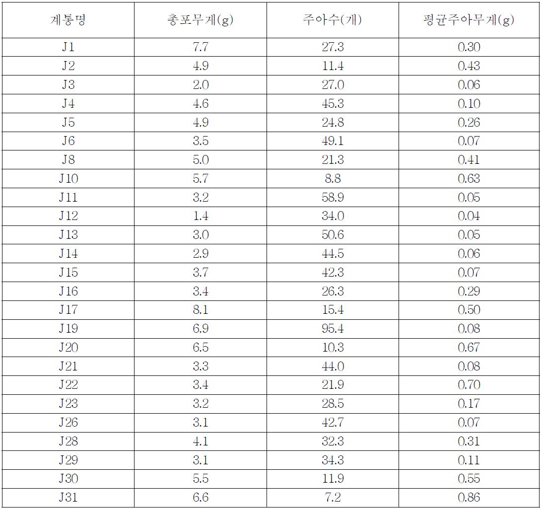 중국에서 수집된 난지형 마늘주아 특성(’09∼’10 평균)