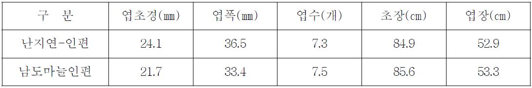 우량계통 마늘 “난지연 1호” 농가적응 시험 생육 특성