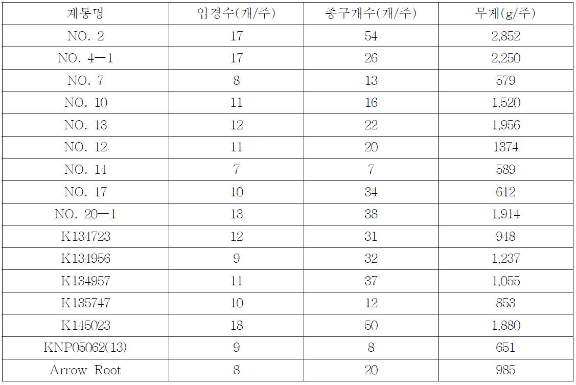 강황 무가온 재배 특성