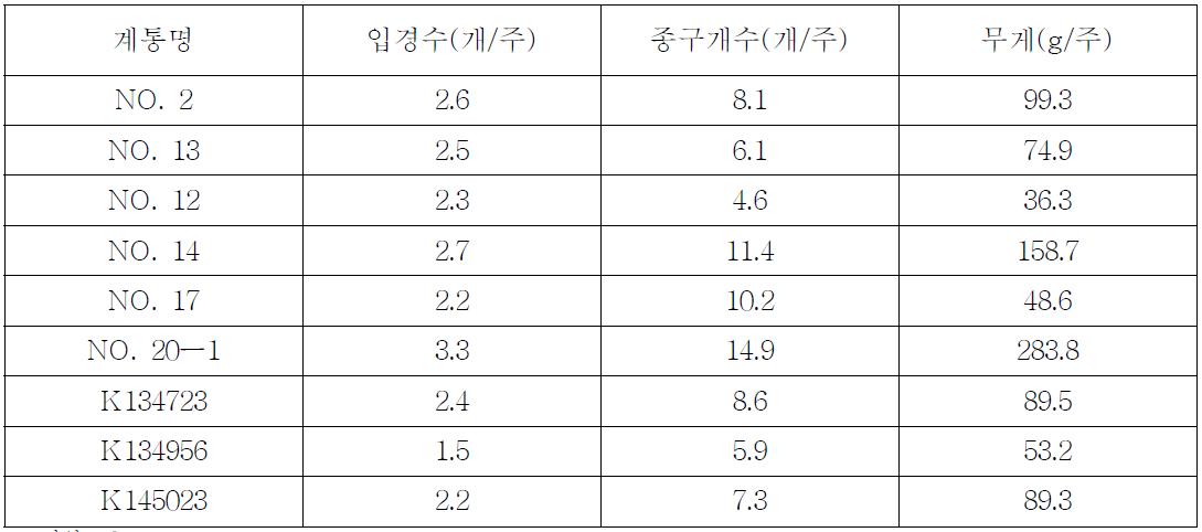 강황 노지재배시 특성