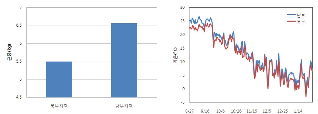 단지무 재배 지역별 근중 비교(좌), 지역별 온도 비교(우)