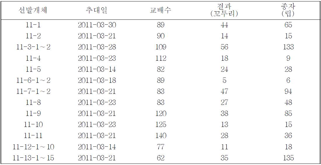 단지무의 성숙모본 선발 후 자식으로 세대진전