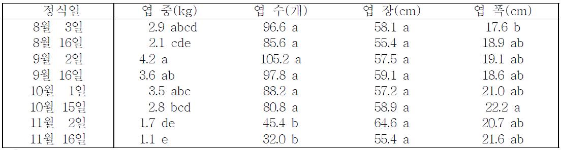 사탕무의 지상부 특성