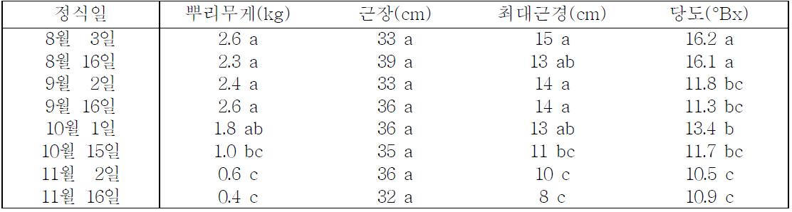 사탕무의 지하부 특성