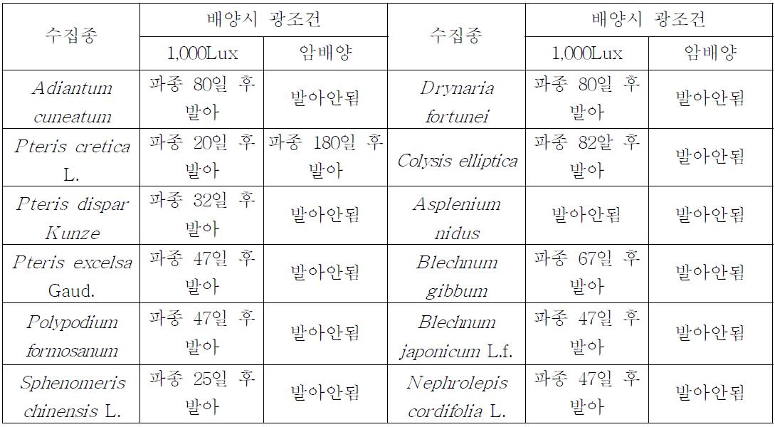 수집 양치식물 기내배양시 광조건별 발아력