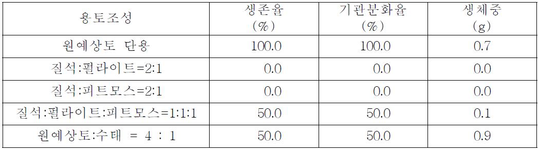 용토조성별 왜성나무고사리(Blechnum gibbum)의 생육상황(1,000Lux 조건)