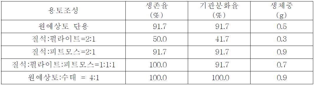 용토조성별 바위고사리(Sphenomeris chinensis L.)의 생육상황(2,500Lux 조건)