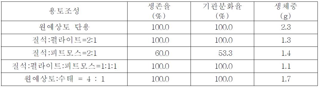 용토조성별 나도히초미의 생육상황(1,000Lux 조건)