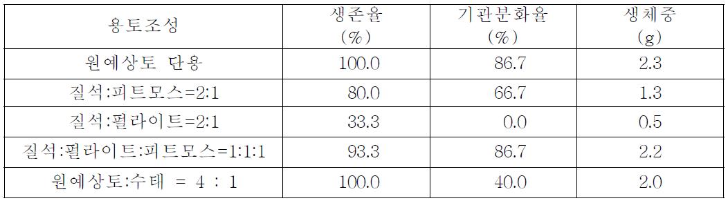 용토조성별 떡갈나무잎고사리(Drynaria fortunei)의 생육상황(1,000Lux 조건)