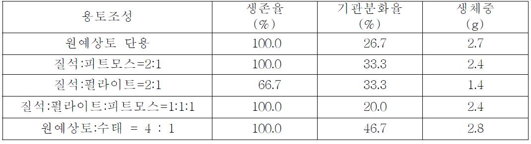 용토조성별 콩짜개덩굴의 생육상황(1,000Lux 조건)