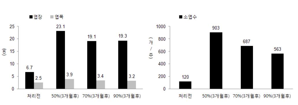 차광조건별 줄고사리 육묘시 엽장, 엽폭 및 소엽수의 변화