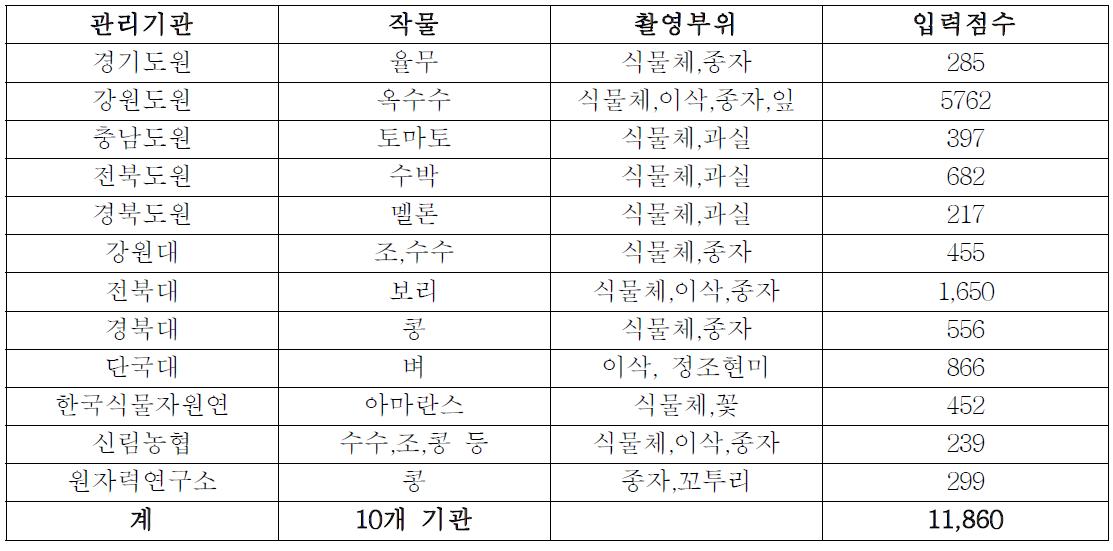 화상정보 DB구축