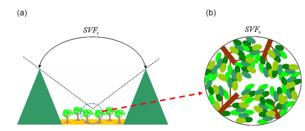 지형(SVFs )과 식생(SVFv).을 고려한 Sky view factor (SVF)