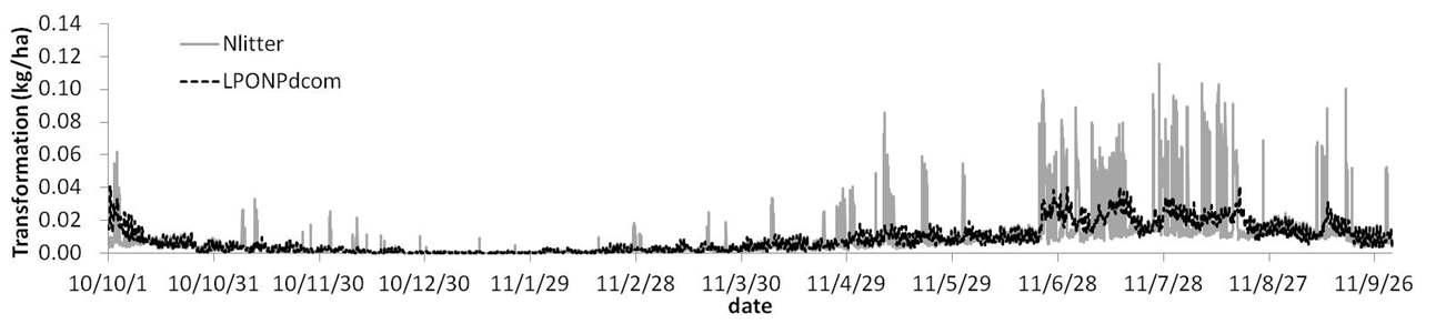 토양에서의 질소 변환과정 모의 결과: 식물 잔재물의 유입(Nlitter) 및 분해(LPONPdcom)