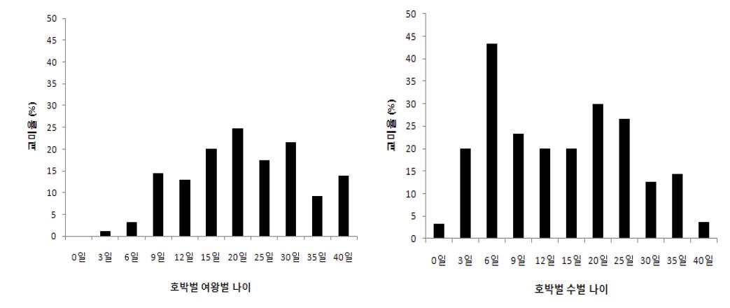 교미에 의한 호박벌 여왕벌 및 수벌의 성적 성숙시기조사