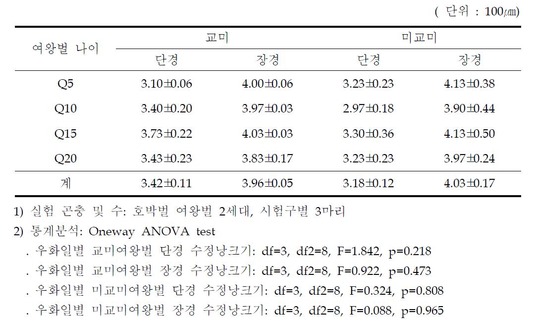 우화일별 교미 및 미교미 호박벌 수정낭 크기비교