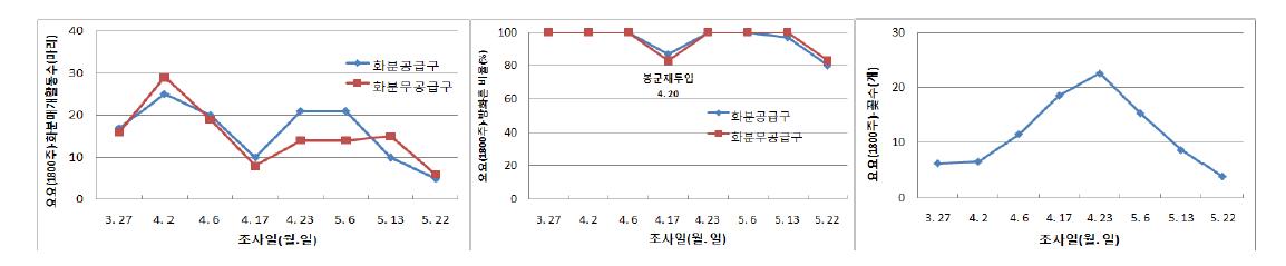 방울토마토(요요, 1,800주/660㎡) 서양뒤영벌 방사 시 화분공급에 의한 화분매개활동 수 및 방화흔 비율