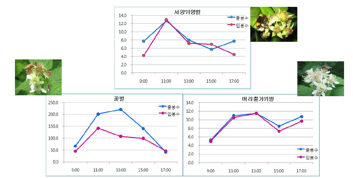 화분매개곤충별 시간별 5분 동안의 소문의 출입활동 수